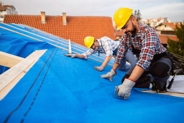 Best Roof Gutter Cleaning  in Oakland, SC